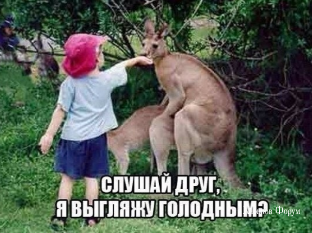 298c8c91d03f1bee299.png
