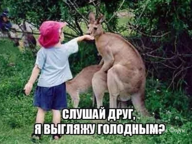 298c8c91d03f1bee299.webp