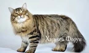 2991e3e421cfcdeb.webp