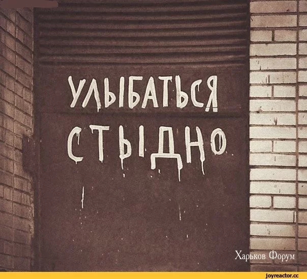 29928401e2749863c568.webp