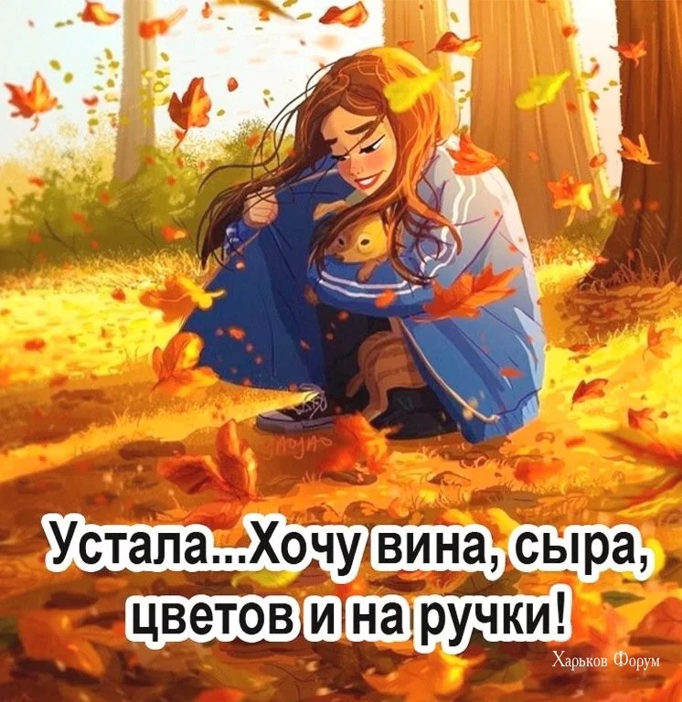 2998c76bd817d76f142325a.webp
