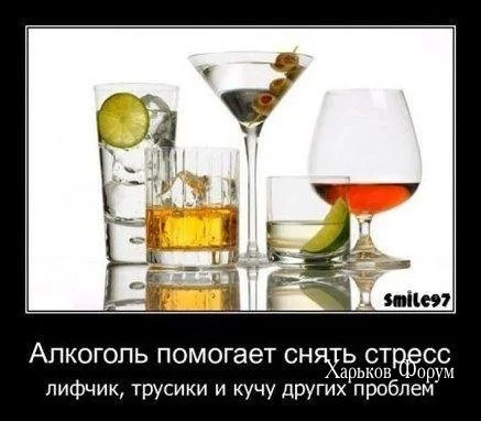 29a07200fec64868b194.webp