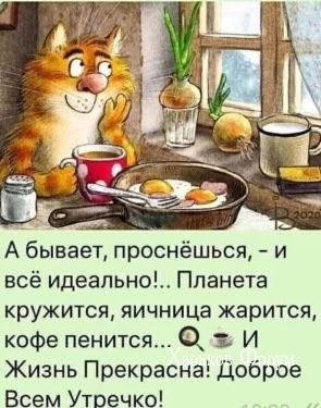 29ab7d5dfceb030bdfa00.webp