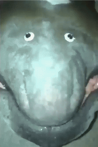 29c4e192e9846f93b1.gif