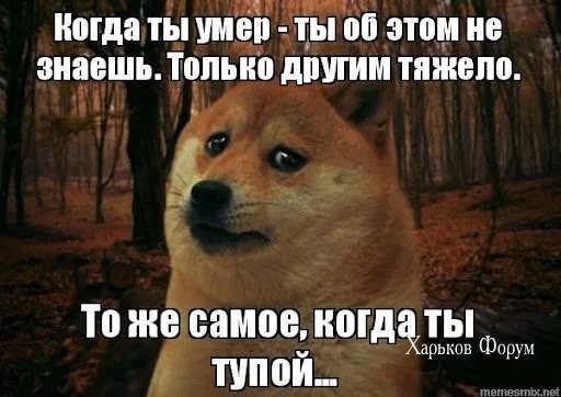 29c5db6de0caa6c9075234e.webp