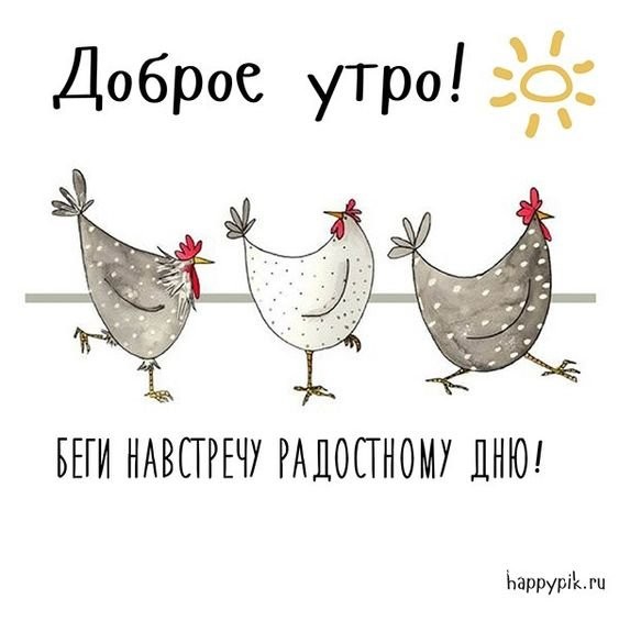 29c669ec2f26290e165053d.jpg