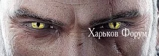 29c6c43452a56b8df7.webp