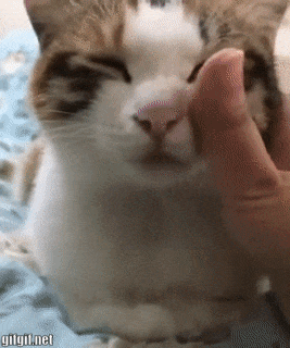 29c98de1a7609c15170.gif