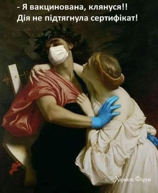 29cc3592816503952e.webp