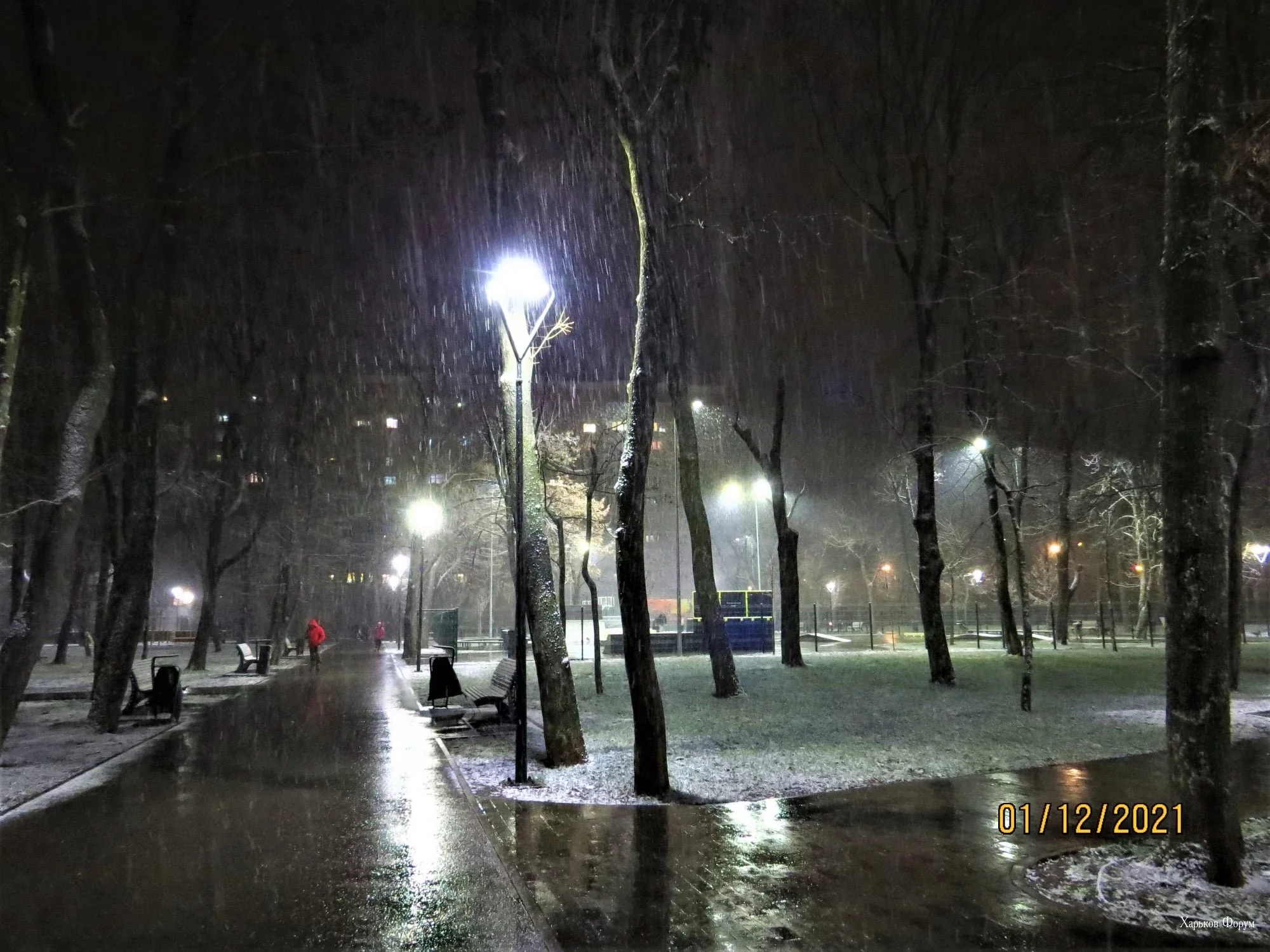 29d568351990b791.webp