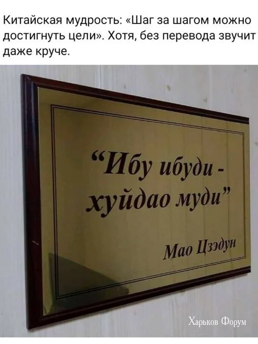 29e9deb784b60fc2f3ee.webp