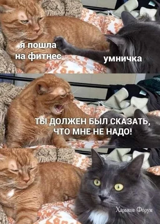 29ff7cf092fa4f8fbe7.webp