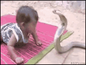 2_rackcdn_com_cms_wp_content_uploads_2012_06_zXEDk.gif