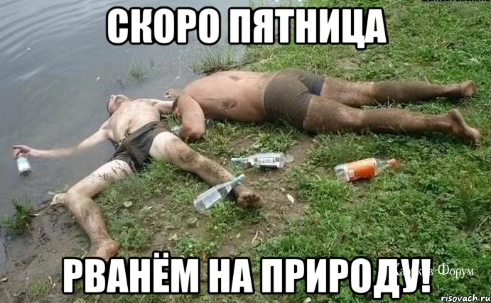 2a2014b0ba8c042d9.webp