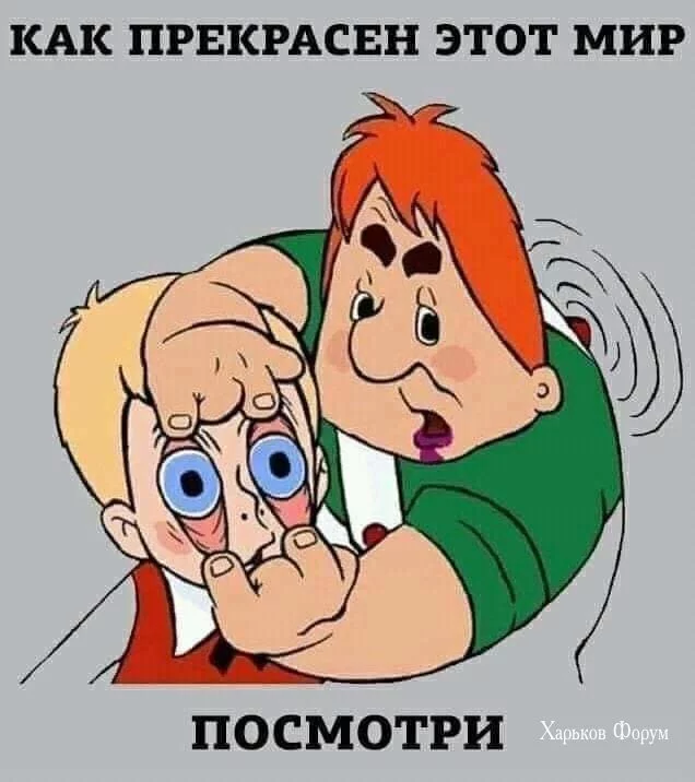 2a30ba985d4b317946aa76b4.webp