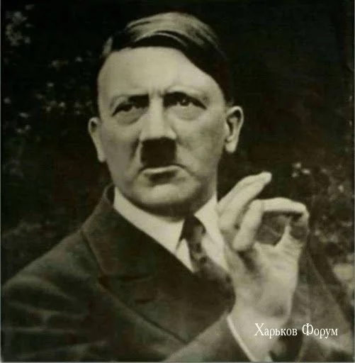 2a339846848bf51fcef8.webp