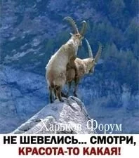 2a6e330703a134b2b.webp
