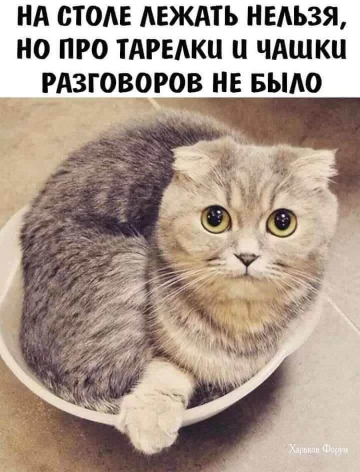 2a74ff72994f20e5d2c.webp