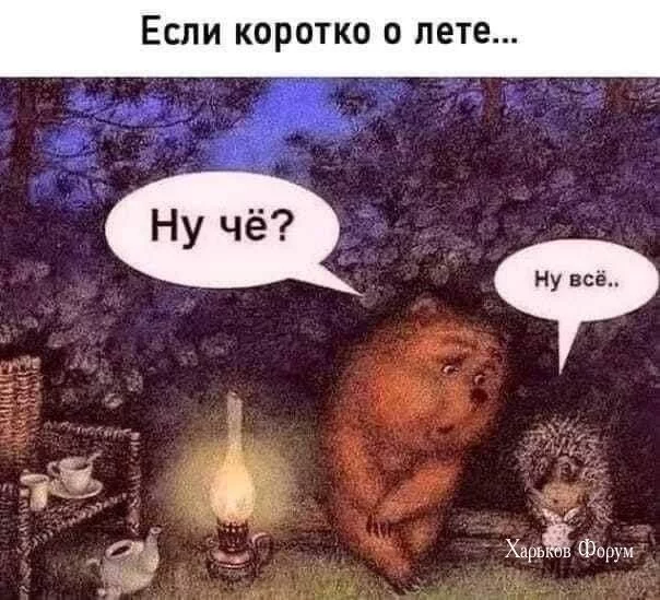 2a76113eb37d41e75bfd1f45.webp