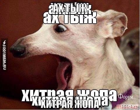 2a82a693c55afd22f13.jpg
