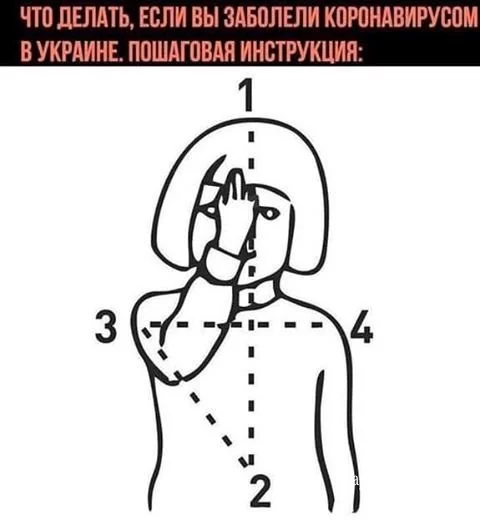 2aa822f6ad312b01.webp