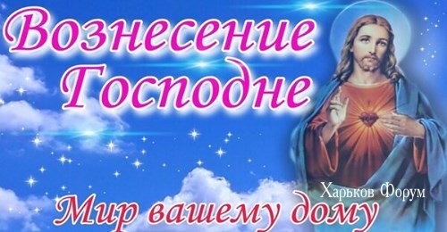 2aaf402007141615c6e545a2.jpg