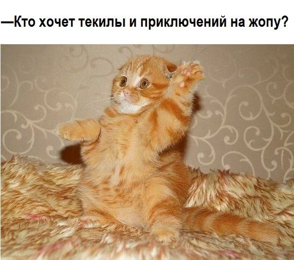 2aahbb.webp