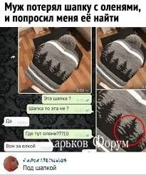 2aca1ac7d8657168.webp