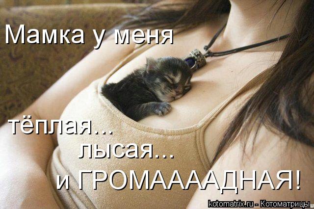 2acchd.jpg