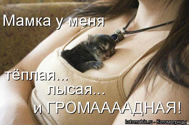 2acchd.webp