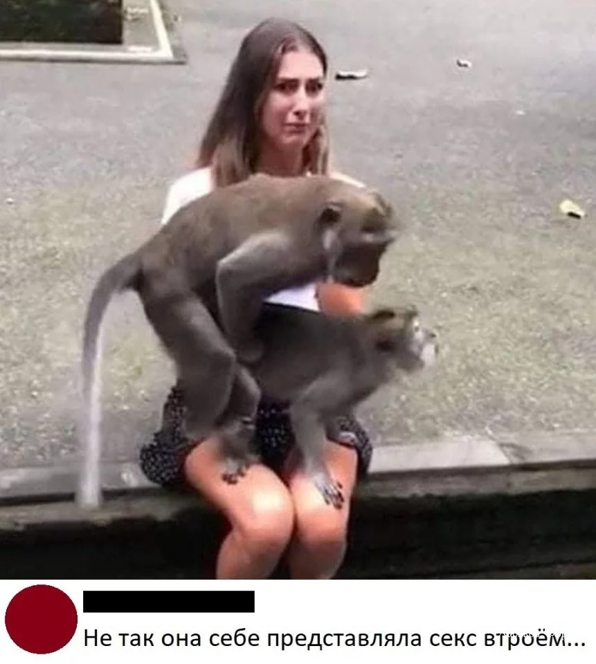 2ad93fb60e8d0e274.webp