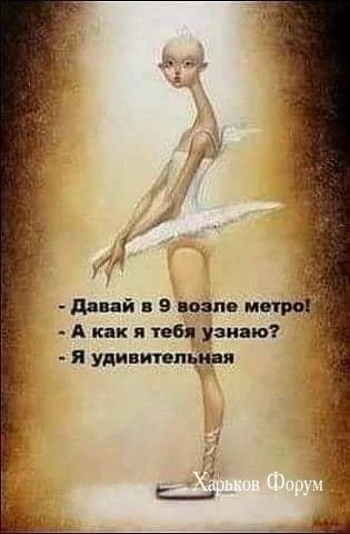 2ae322a47e0a633f7f41e2cd.webp