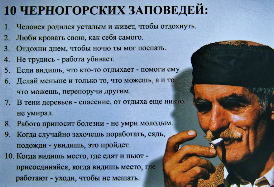 2aeaee.webp