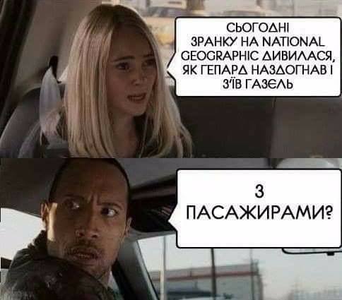 2afahb.jpg