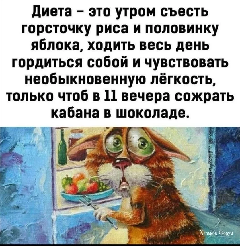 2b0cd5fead9f980f6eac736.webp