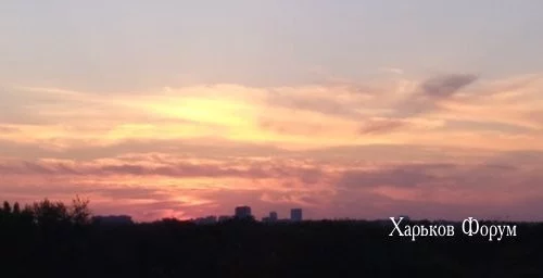 2b2241cfba74cfb7a7d1b178.webp