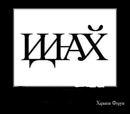 2b36c3c6aebff4986710695.webp