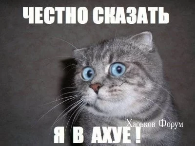 2b45f4efac2d1f72.webp