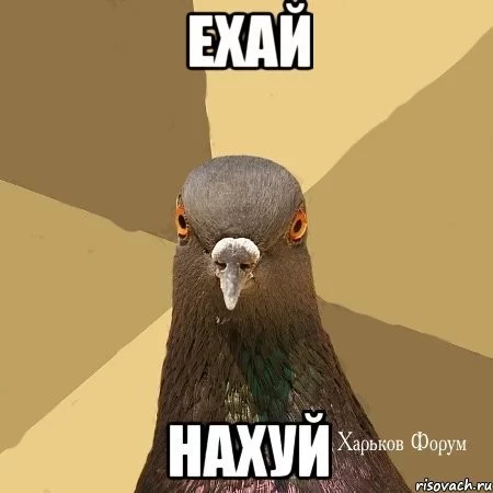 2b5d473a92e6cd4f097.webp
