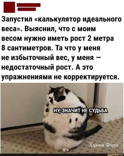 2b8fe0e245a893ae.webp