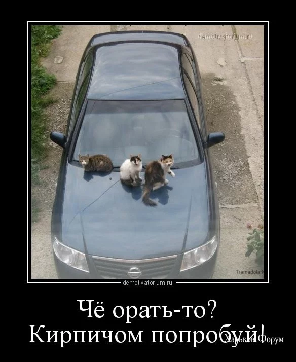 2ba1b12205bdf6ef84b5ec05.webp
