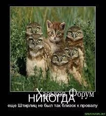 2ba6ce3c88053e8f8ba5f.webp