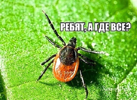 2ba8d86d1c2f71ac7.jpg