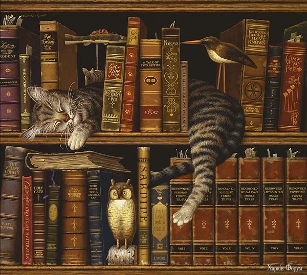 котэ