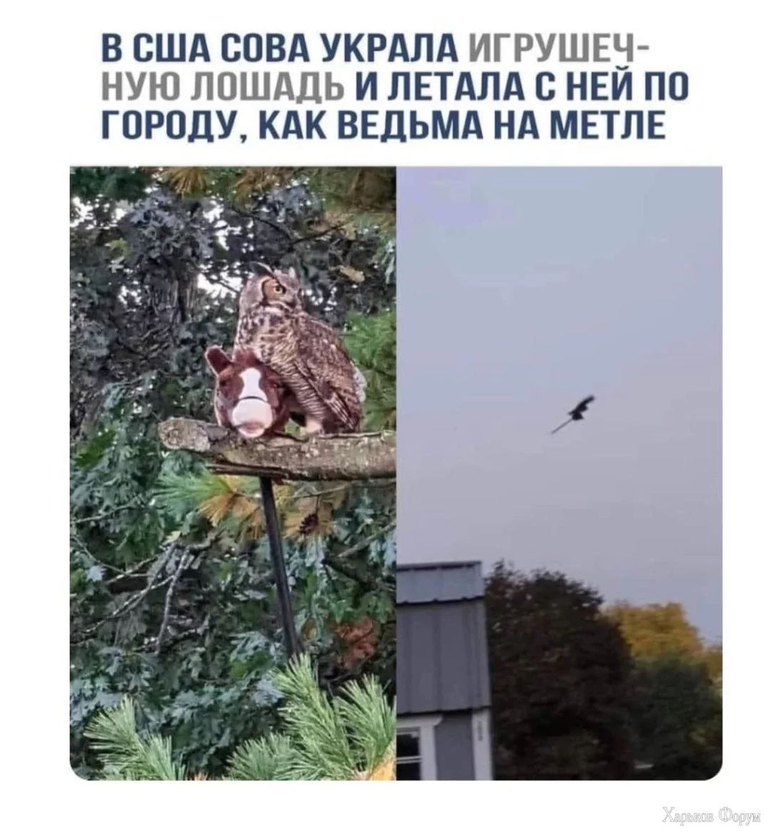 2BaxInI9rq0AZTOGXF0iywVTA7hIRxDwos.webp