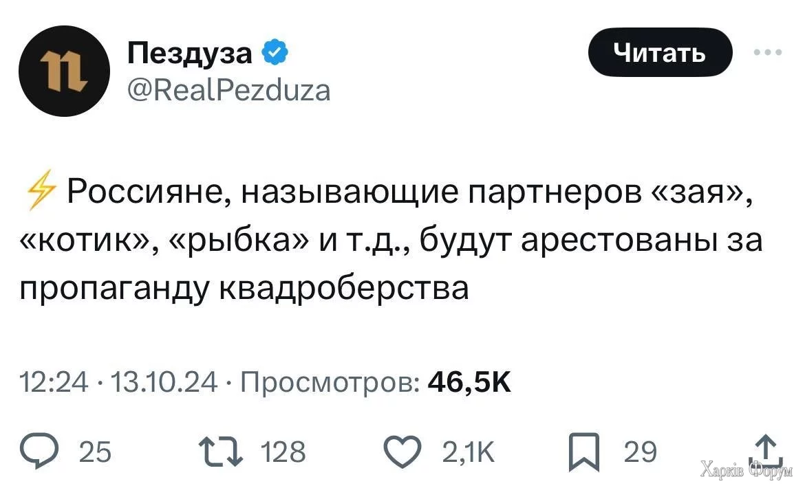 2BayOp5biMsD1BUH1NXt9Qi2eXLJcNRVMl.jpg