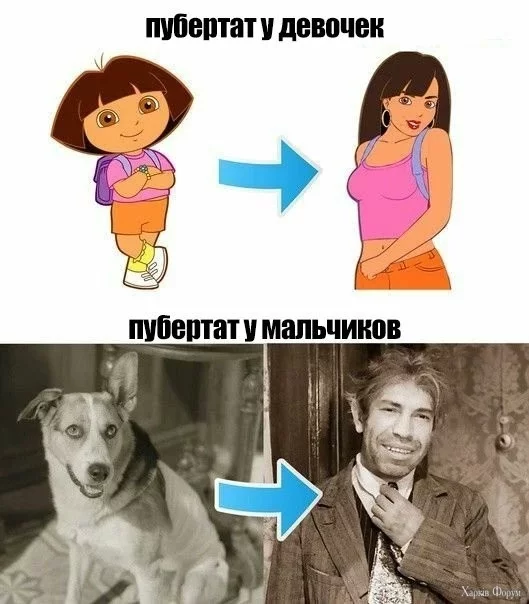 пуберт