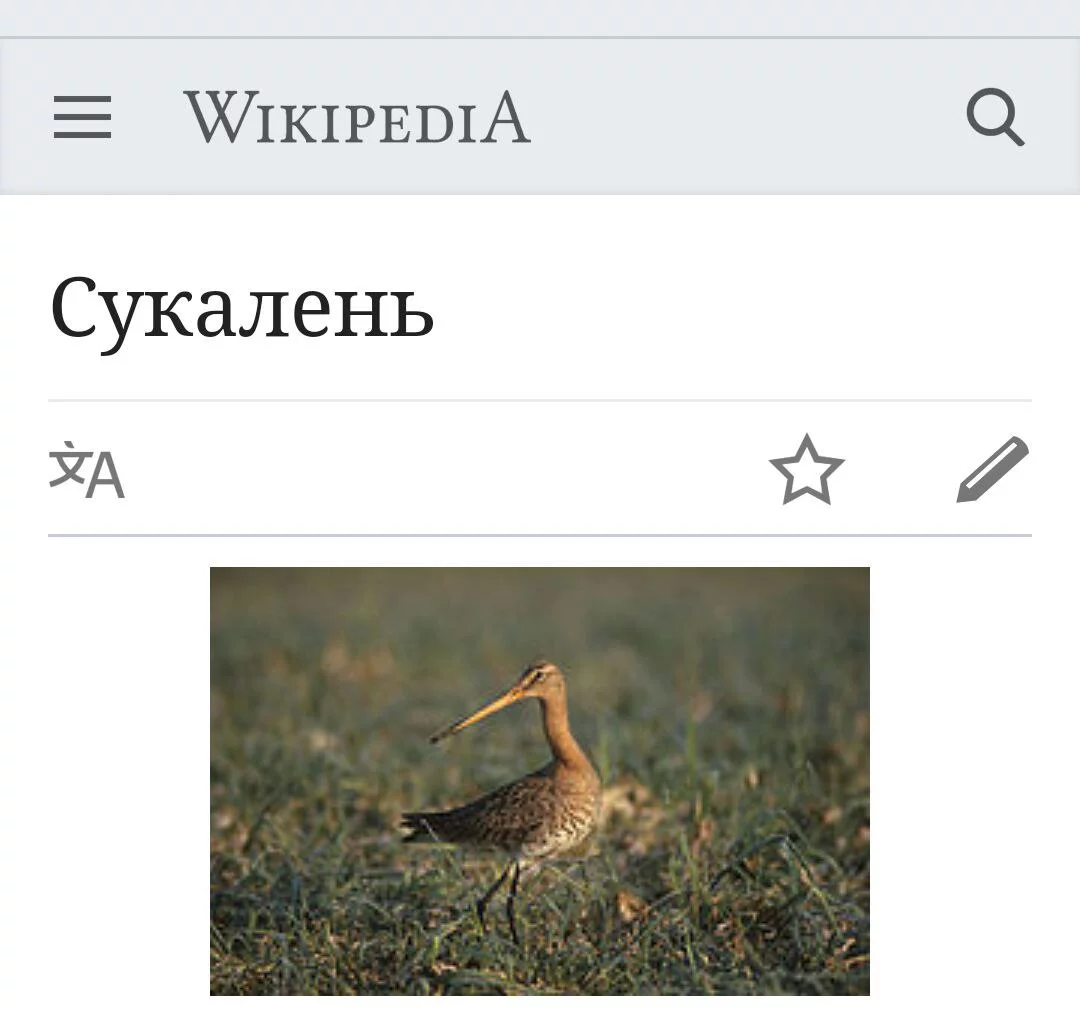 2bcccj.webp