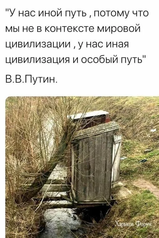 2bcf75707ee91a33625b4e.webp