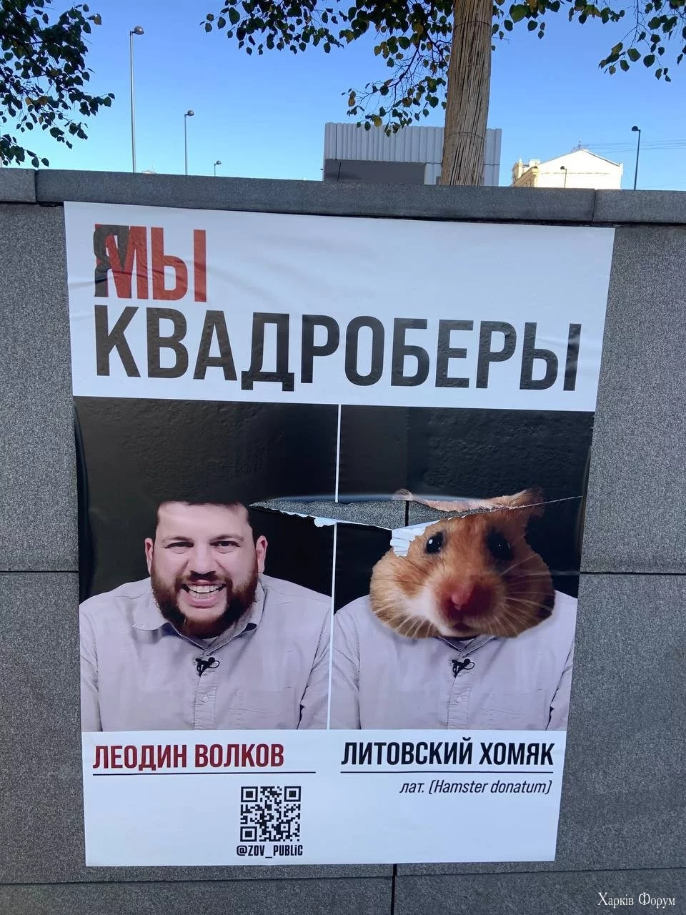 Кадроберы Дудь Яшин Певчих Волков